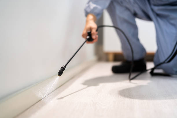 Wildlife Control Services in Riverton, WY