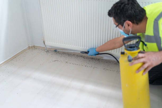 Professional Pest Control in Riverton, WY