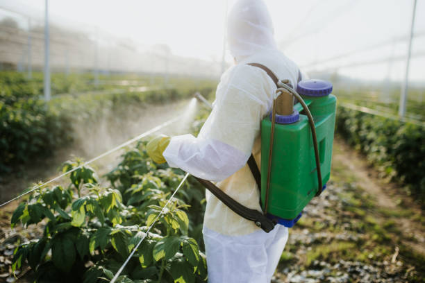 Pest Control for Restaurants in Riverton, WY